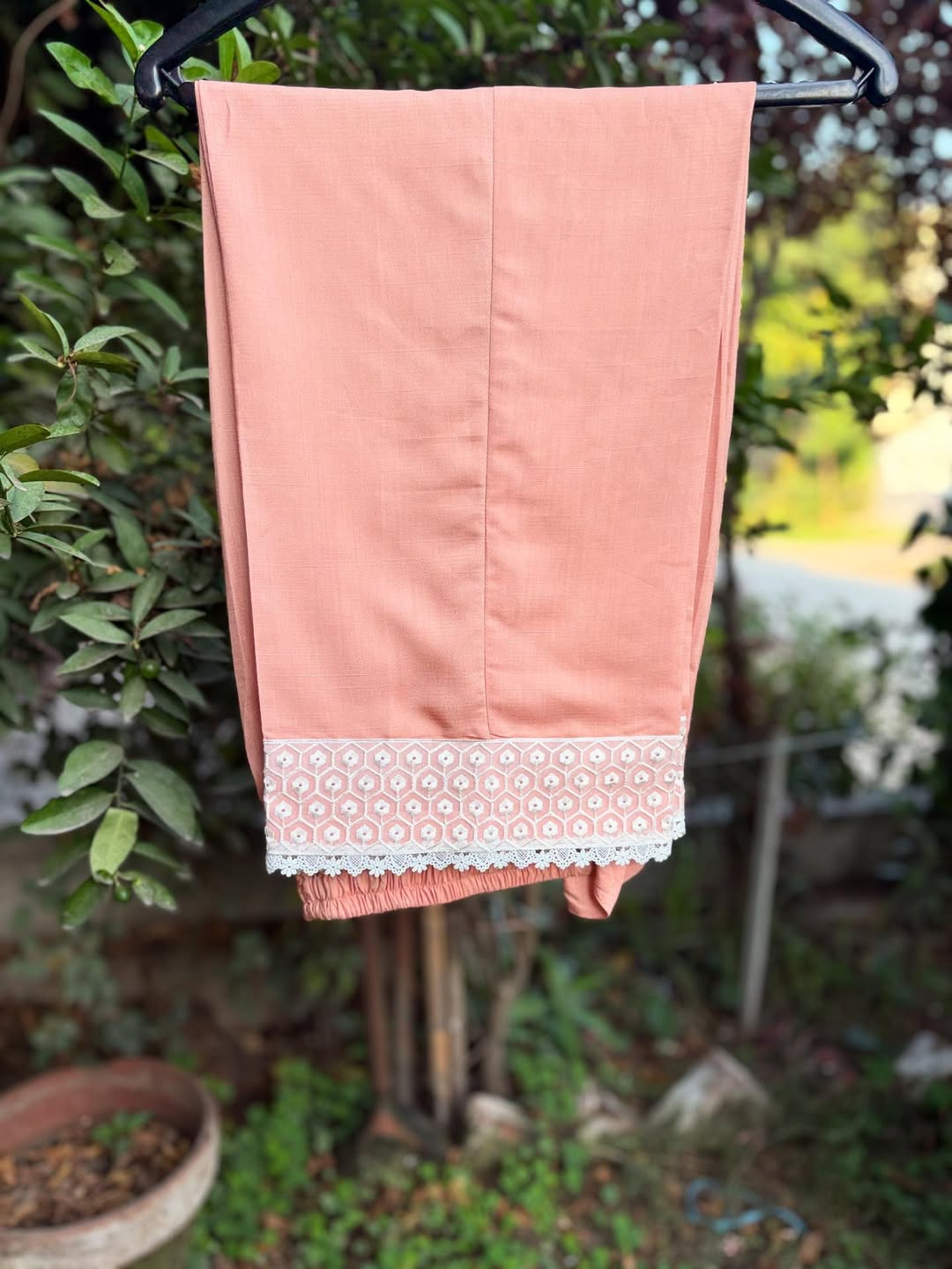 Peach Dreams Under Pretty Skies